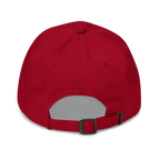 Low Profile Adjustable Baseball Cap – Men's & Women's 100% Cotton Twil - Randello